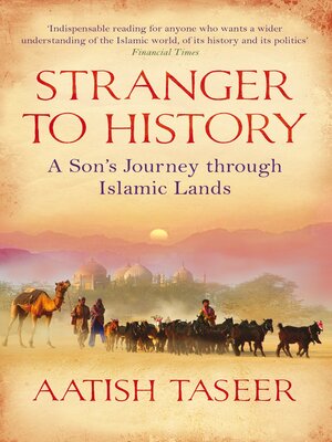 cover image of Stranger to History